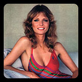  Cheryl Tiegs 