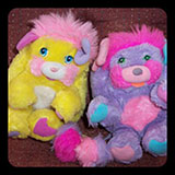  Popples 
